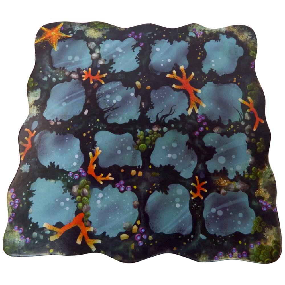Reef