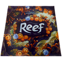 Reef