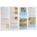 Catan Histories Merchants of Europe