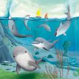 Flippin’ Dolphins 3