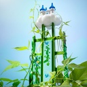 Jack and the Beanstalk 4