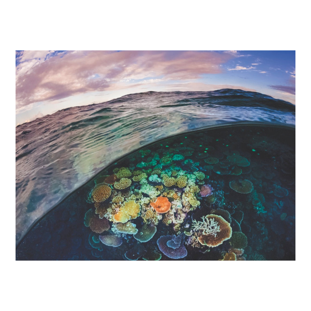 New York National Geographic Puzzle 1000 Pieces Great Barrier Reef