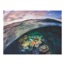 New York National Geographic Puzzle 1000 Pieces Great Barrier Reef