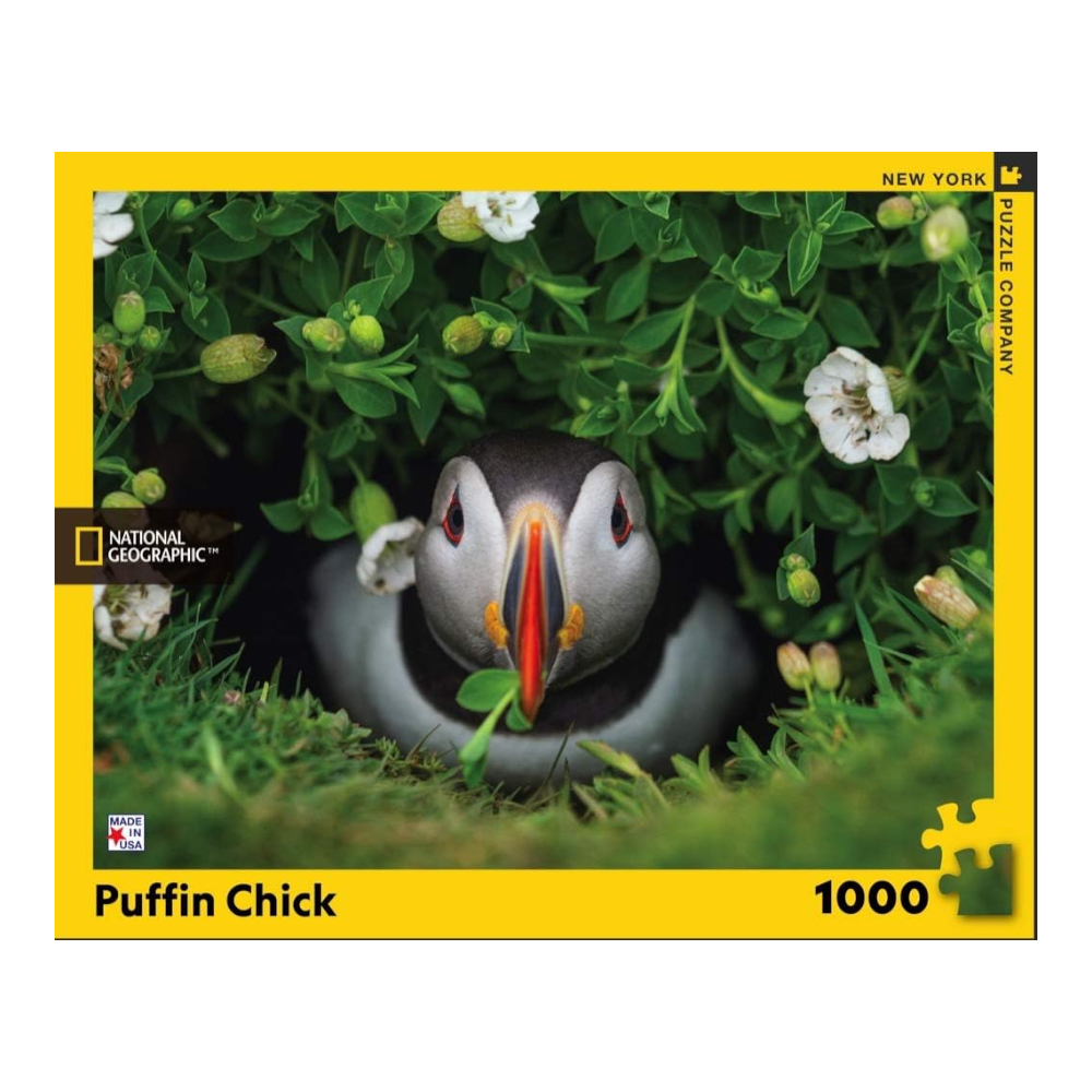 New York National Geographic Puzzle 1000 Pieces Puffin Chick