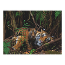 New York National Geographic Puzzle 1000 Pieces Mother Tiger and Cub