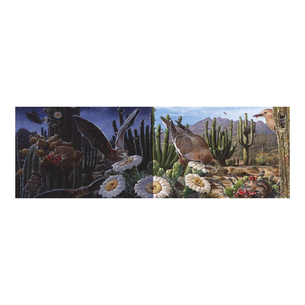 New York National Geographic Puzzle 1000 Pieces Desert Ecosystem