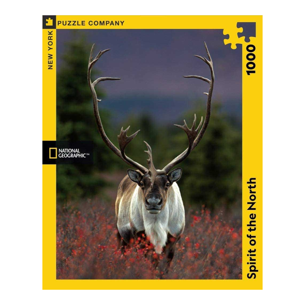 New York National Geographic Puzzle 1000 Pieces Spirit of the North