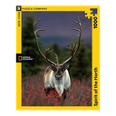 New York National Geographic Puzzle 1000 Pieces Spirit of the North