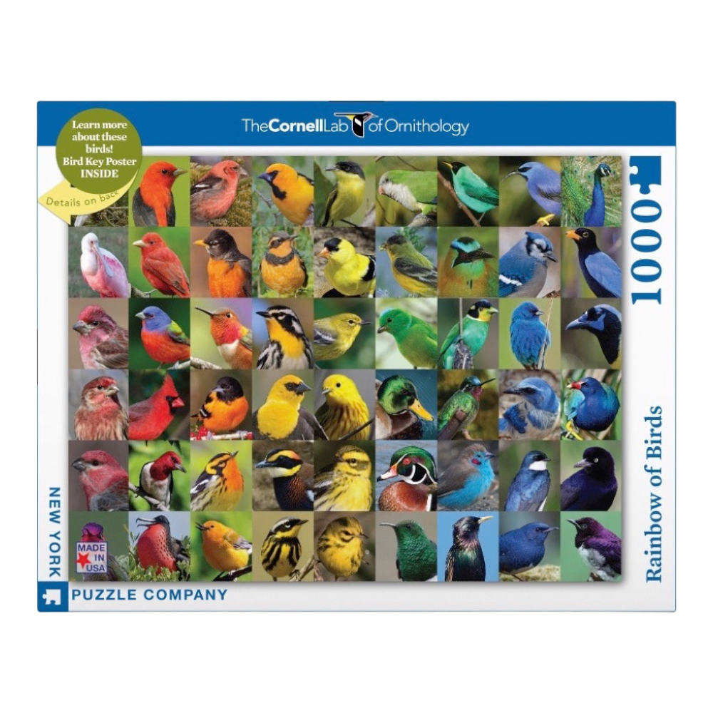 New York Puzzle 1000 Pieces Rainbow of Birds