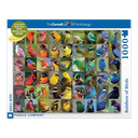 New York Puzzle 1000 Pieces Rainbow of Birds