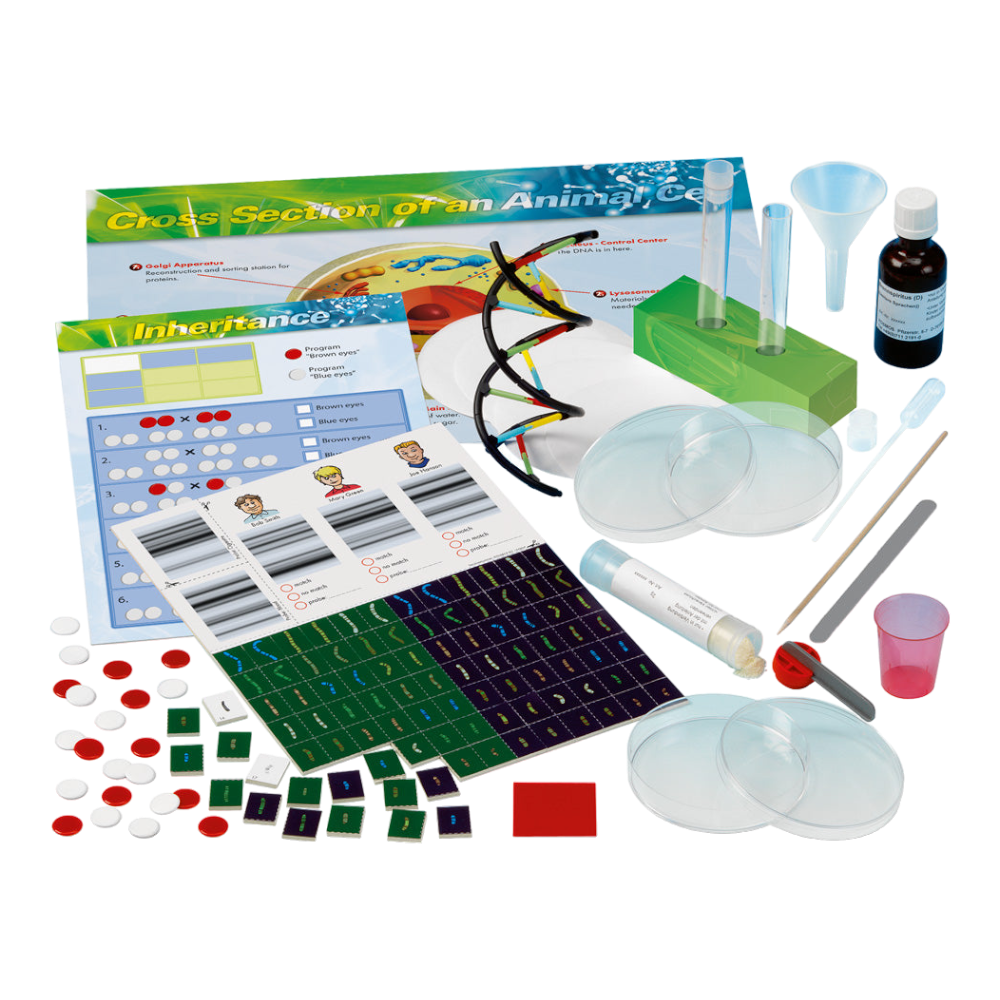 THAMES & KOSMOS Chem C1000