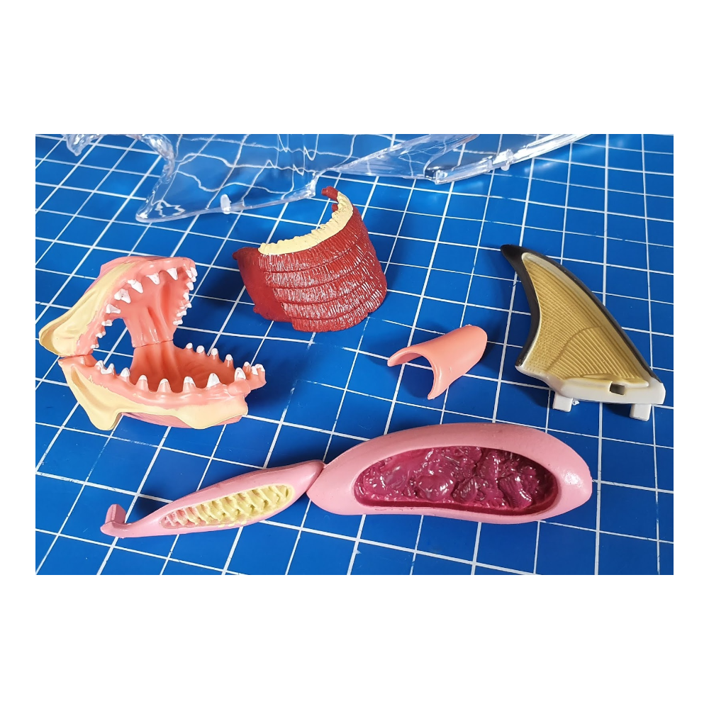 Scratch Europe Magnetic Puzzle Run Whale