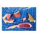 Scratch Europe Magnetic Puzzle Run Whale