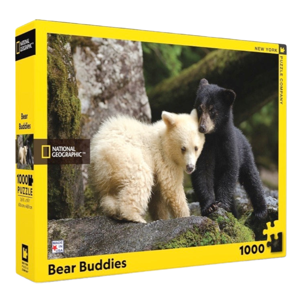 New York National Geographic Puzzle 1000 Pieces Bear Buddies